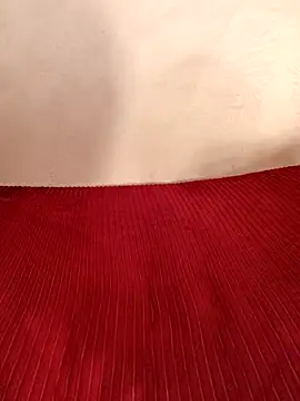 -The_Bee-'s sex show image