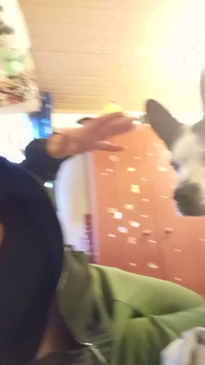 Sexshow-Bild von Bunny308sexy