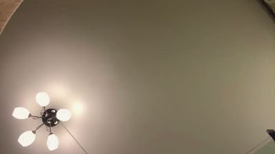 AdalineFontus's sex show image