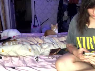 felvivalkitty's sex show image