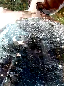 Изображение секс-шоу модели Sarie_sho