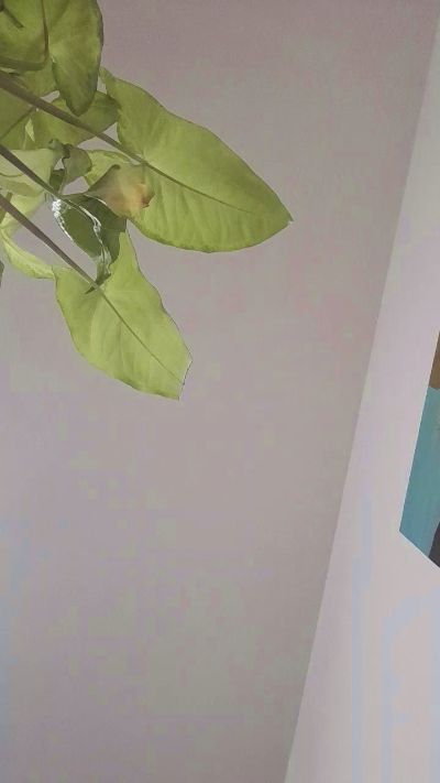 mica224's sex show image