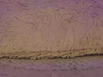 isis_queen_xxx's sex show image isis_queen_xxx's sex show image