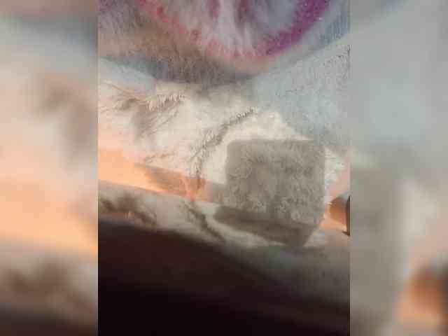 Sexshow-Bild von Selinababy99 Sexshow-Bild von Selinababy99