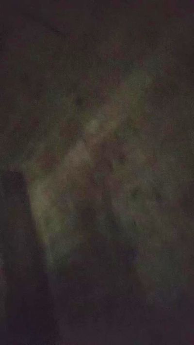 lisbeth4's sex show image lisbeth4's sex show image