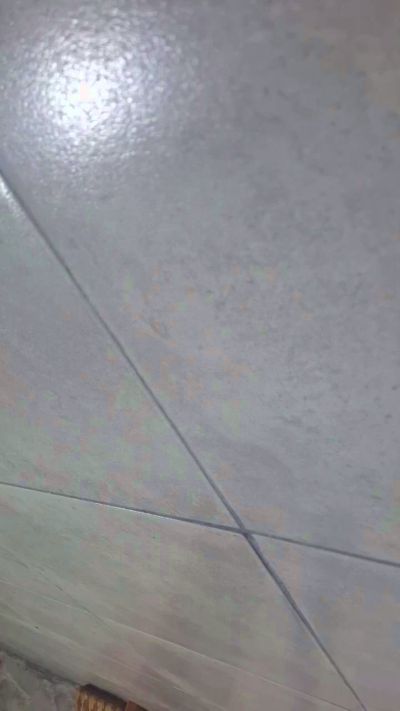 Sexshow-Bild von gretaswetty1 Sexshow-Bild von gretaswetty1