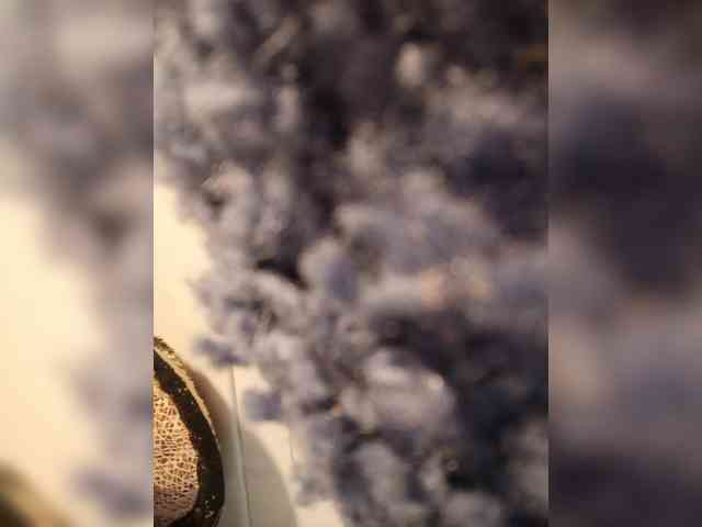 Изображение секс-шоу модели Annanas Изображение секс-шоу модели Annanas