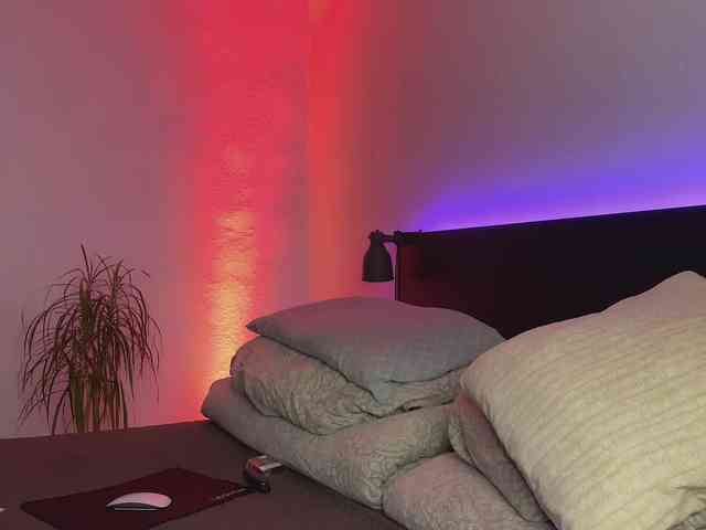 Изображение секс-шоу модели dalmatian-girl