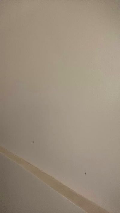 RessyTherstii's sex show image RessyTherstii's sex show image