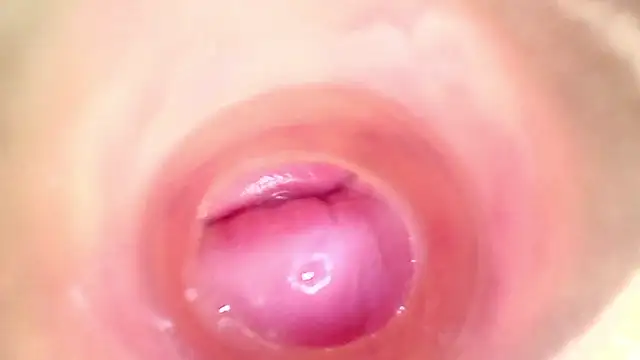 shannon_kinne_'s sex show image