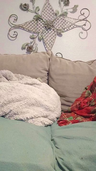 xxxangel43's sex show image