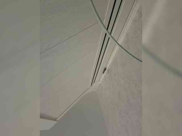 BABYVIK's sex show image