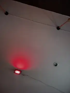 Juanita-Diaz's sex show image