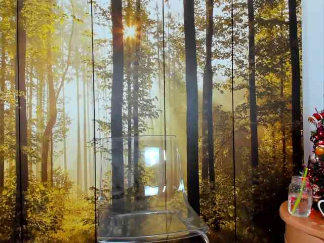 Sexshow-Bild von SatyneQueen