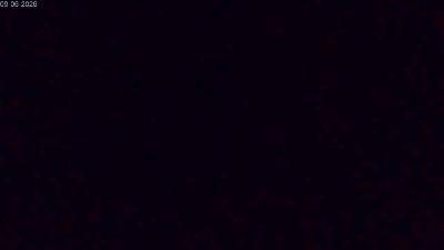 Sexshow-Bild von Selena_noir Sexshow-Bild von Selena_noir