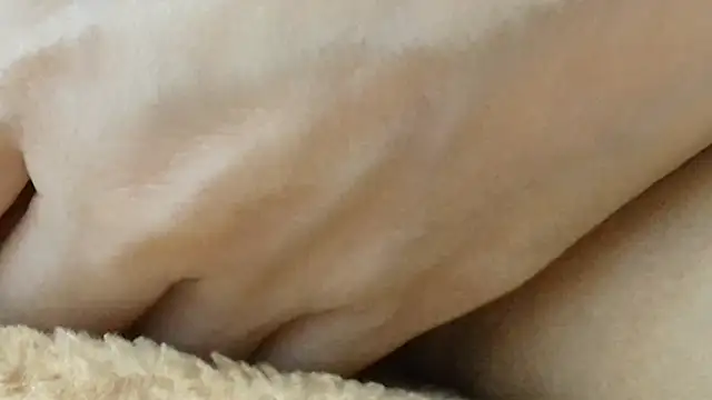 sonyx's sex show image