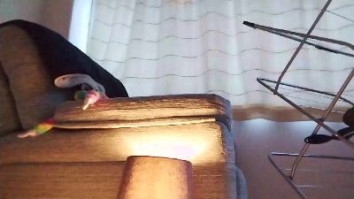 ladyliz0's sex show image