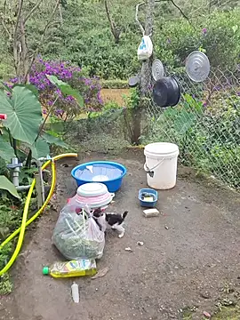 Helen-Tran's sex show image Helen-Tran's sex show image