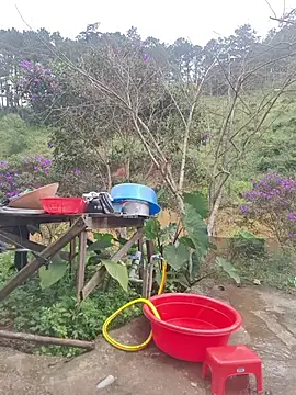 Helen-Tran's sex show image