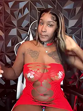 ToyaThick's sex show image