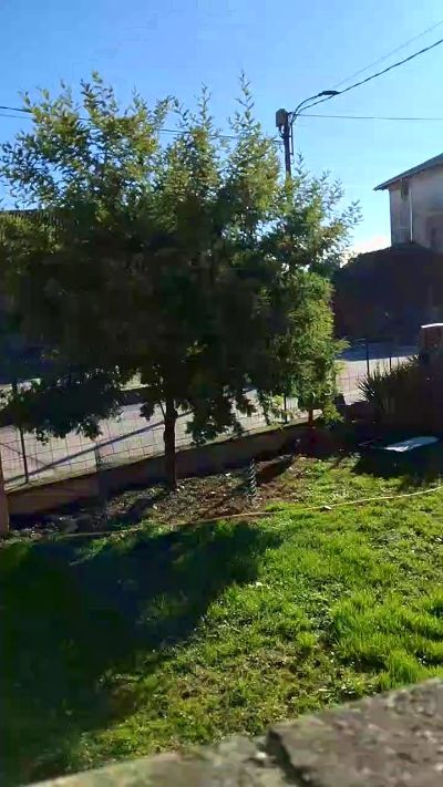 Sexshow-Bild von luxxuriax