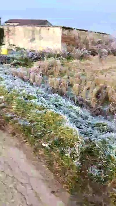 Sexshow-Bild von luxxuriax