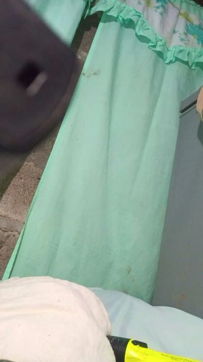 WildLady's sex show image WildLady's sex show image