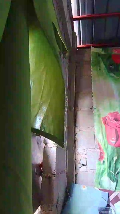 Sexshow-Bild von WildLady