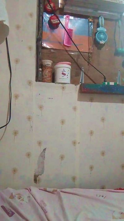 WildLady's sex show image