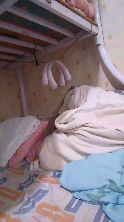 WildLady's sex show image