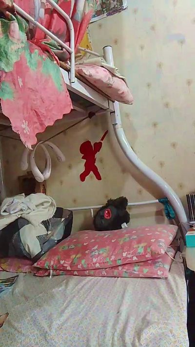 WildLady's sex show image