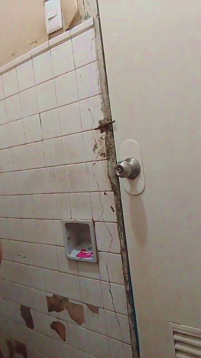 WildLady's sex show image