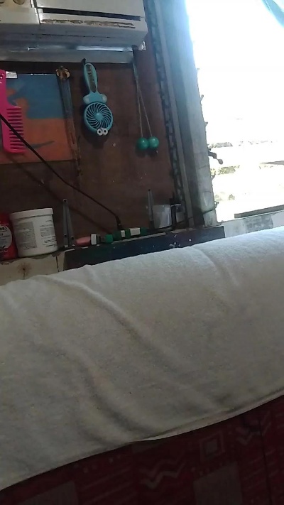 WildLady's sex show image