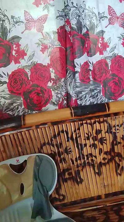 WildLady's sex show image