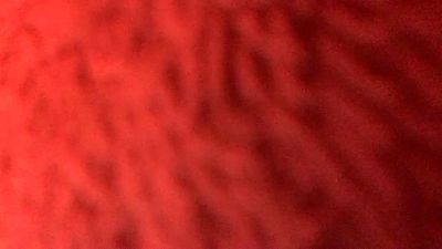 Javierapalacios's sex show image