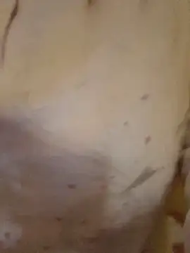 jihane-44's sex show image