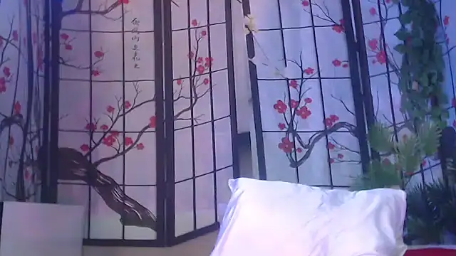 NightOrhideya's sex show image