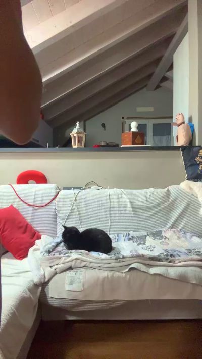 Изображение секс-шоу модели Antonella524 Изображение секс-шоу модели Antonella524