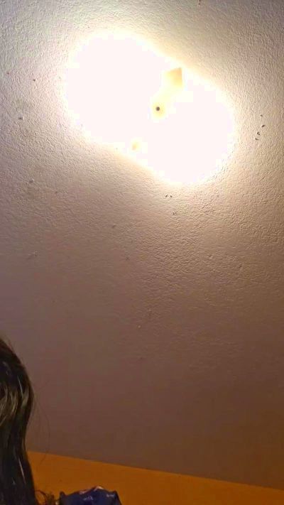 alicepractice5's sex show image alicepractice5's sex show image