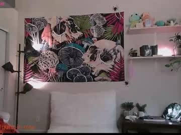 Sexshow-Bild von gunzinrose