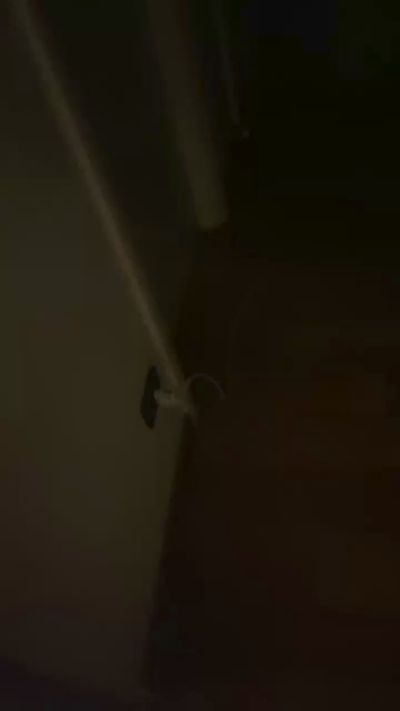 Изображение секс-шоу модели MaiaLaNinfo