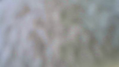 segretaria73's sex show image