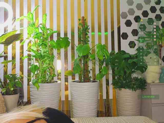 Изображение секс-шоу модели MiaLiaHot Изображение секс-шоу модели MiaLiaHot