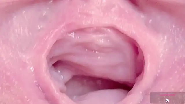 Sexshow-Bild von Alu_ryu