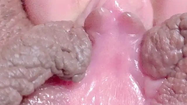 Sexshow-Bild von Alu_ryu