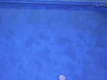 rikka_moore's sex show image