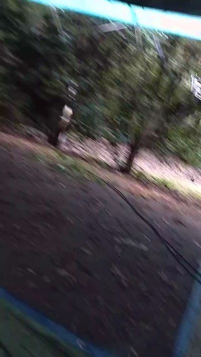 Sexshow-Bild von Petitebombe34