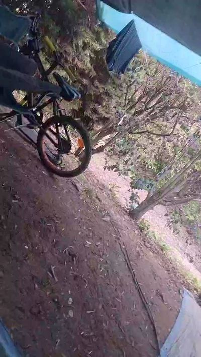 Sexshow-Bild von Petitebombe34