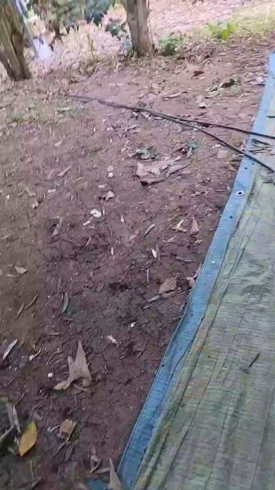 Sexshow-Bild von Petitebombe34