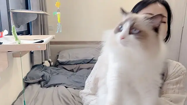 Изображение секс-шоу модели BabyOneDaily